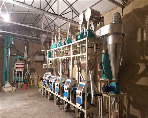 時(shí)加工1-2噸小麥面粉生產(chǎn)線實(shí)拍圖片