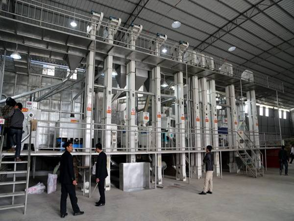 藜麥加工生產線實拍圖片