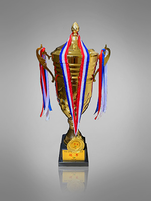 團(tuán)隊(duì)訓(xùn)練營冠軍