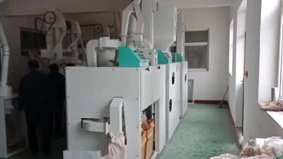 解析中小型雜糧加工機械的優越性