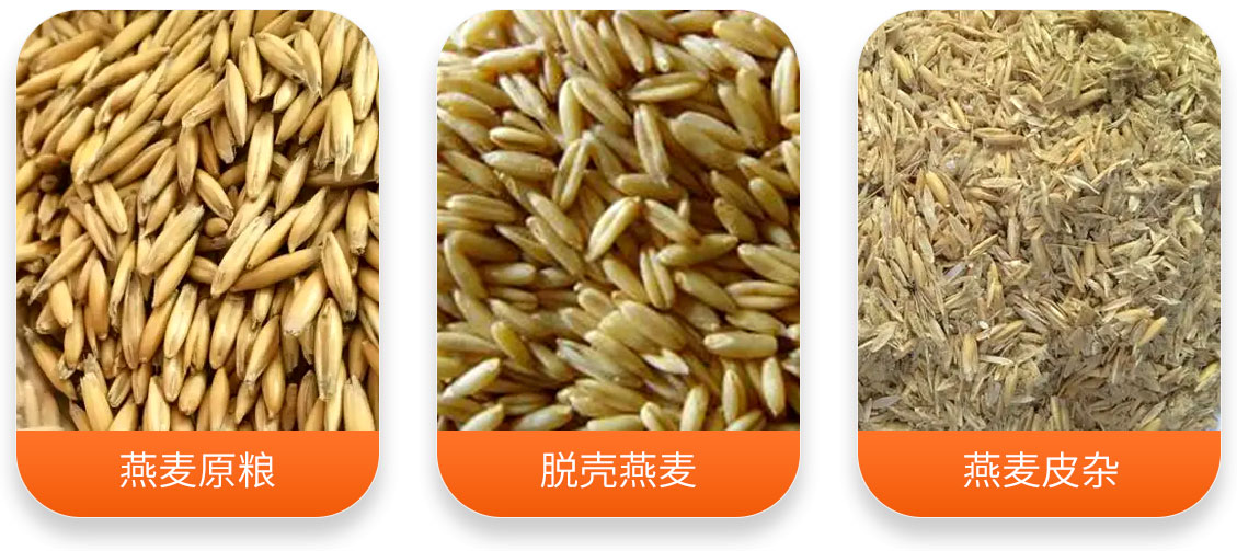 燕麥脫殼成套設備產(chǎn)成品圖