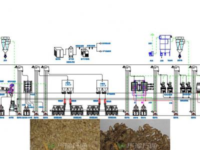 水飛薊脫殼成套設備