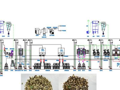 火麻籽脫殼成套設備