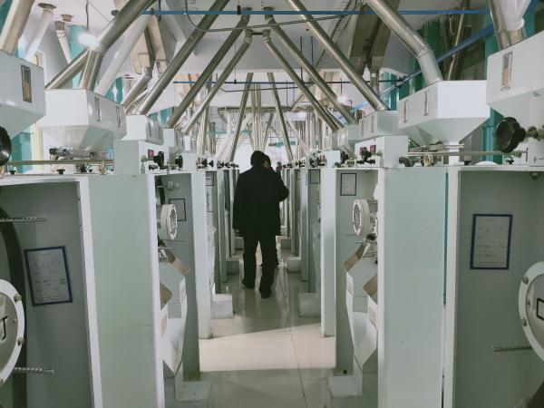 吉林遼源500噸玉米加工成套設備