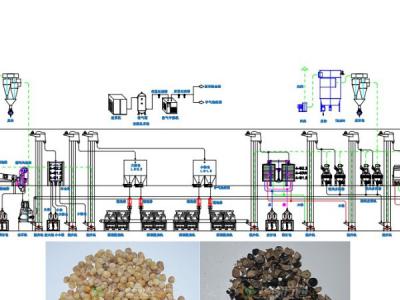 牡丹籽脫殼成套設備