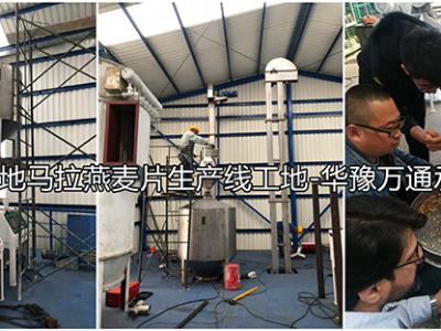 危地馬拉2噸燕麥脫殼1噸燕麥切粒壓片成套設備