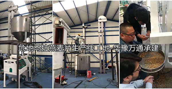 危地馬拉2噸燕麥脫殼1噸燕麥切粒壓片成套設備