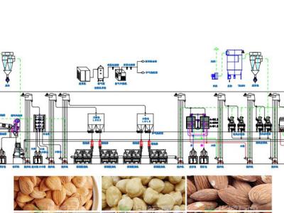 杏核/榛子/巴旦木脫殼成套設備