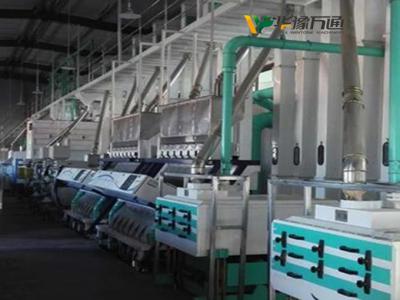 藜麥加工生產線