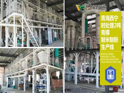青稞加工生產線